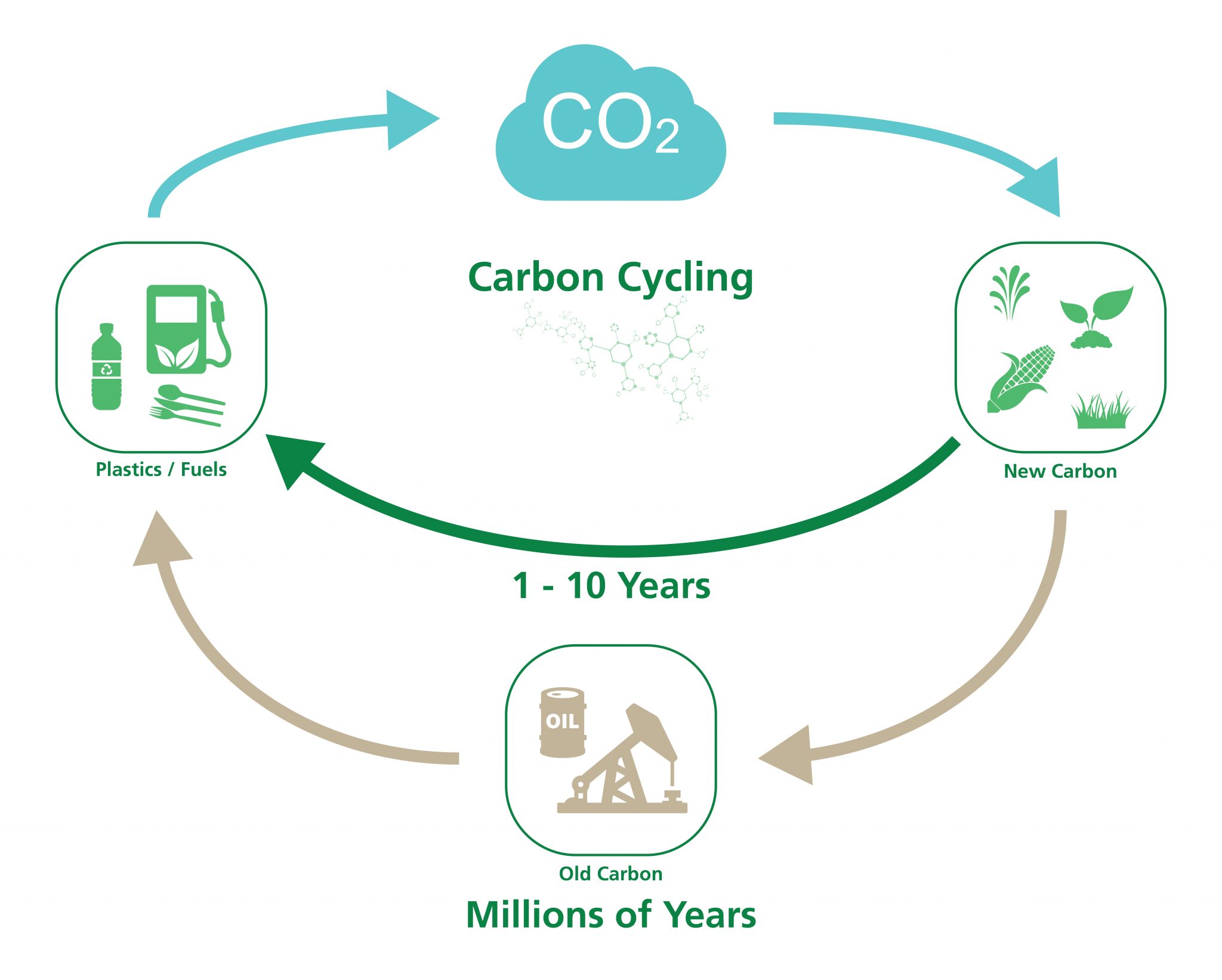 Bioplastics 101 | Learn About Bioplastics - Information from the Experts